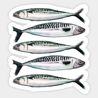 Mackerel - Watercolor fish illustration Sticker